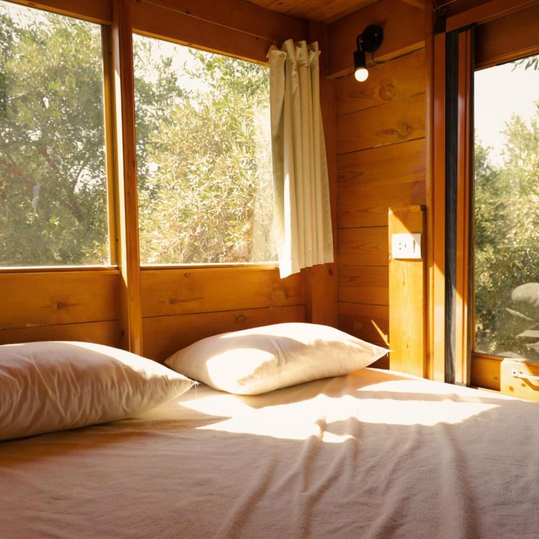 Northern Lake Lodge Izbat Ilyas エクステリア 写真